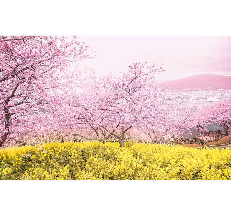 꽃 벽 벽화 벚꽃의 고요함 - TenStickers