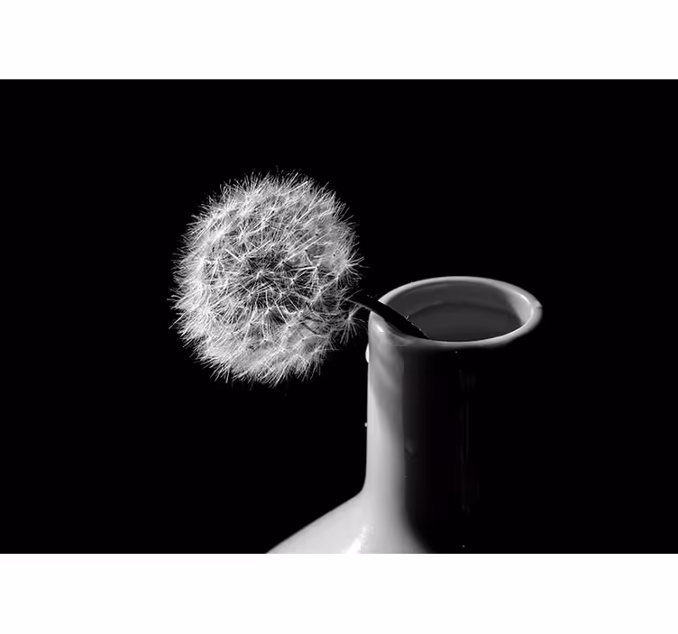 민들레 벽 벽화 꽃병 속 민들레 - TenStickers