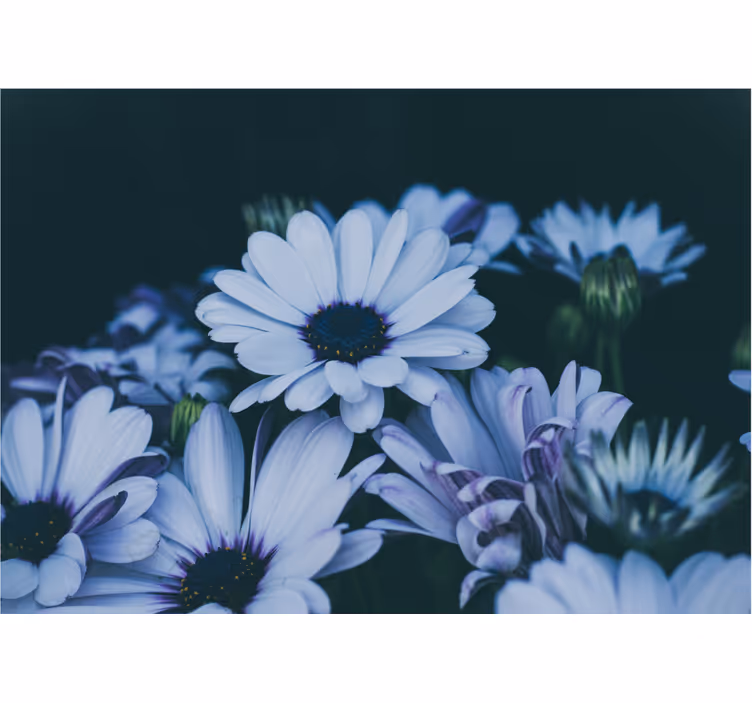 꽃 벽 벽화 고요한 꽃다발 디자인 - TenStickers