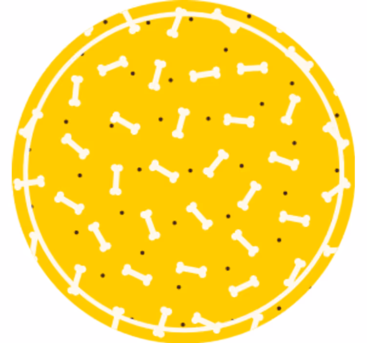 기발한 컵 받침 뼈무늬 원형 - TenStickers