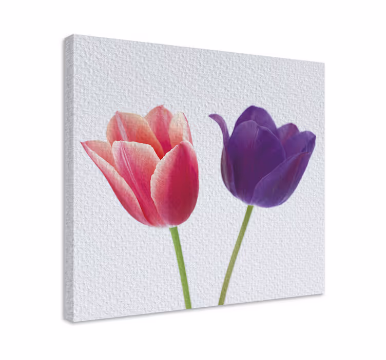 보라색과 분홍색 튤립 꽃 캔버스 - TenStickers