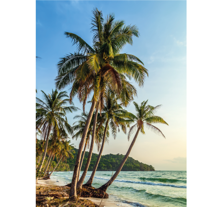 화장실 블라인드 해변의 야자수 - TenStickers