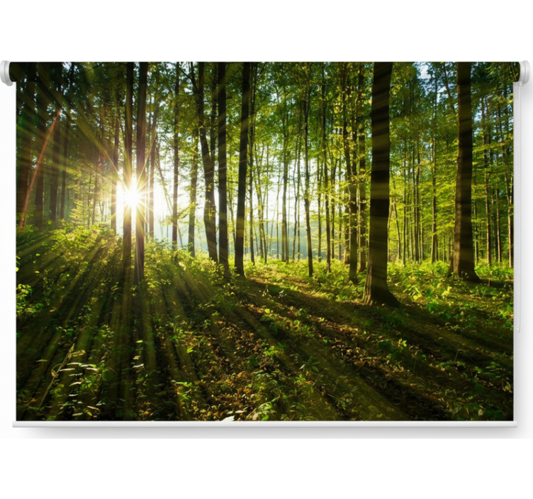 나무가 있는 블라인드 황금빛 태양burst 나무 - TenStickers