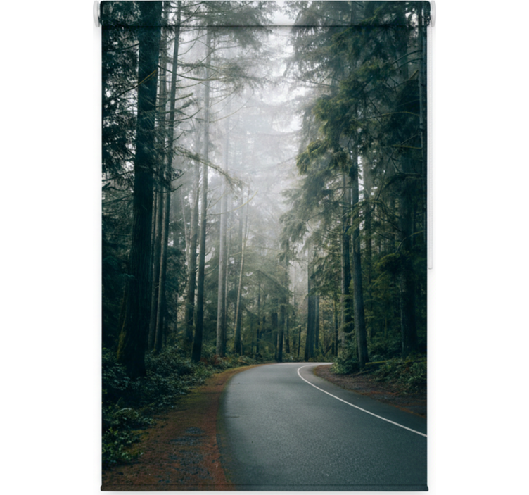 나무가 있는 블라인드 안개 소나무 길 - TenStickers
