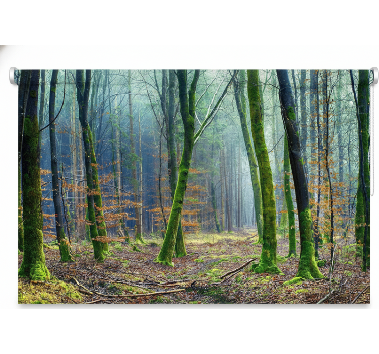 나무가 있는 블라인드 안개 낀 숲 자판디 - TenStickers