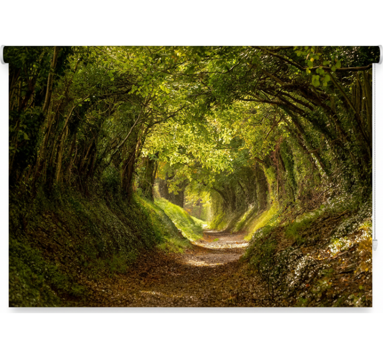 나무가 있는 블라인드 몰입감 있는 숲 벽화 - TenStickers