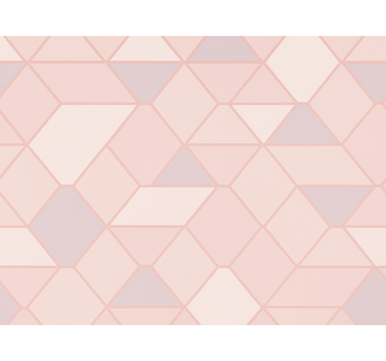 핑크 블라인드 현대 추상 핑크 도형 - TenStickers