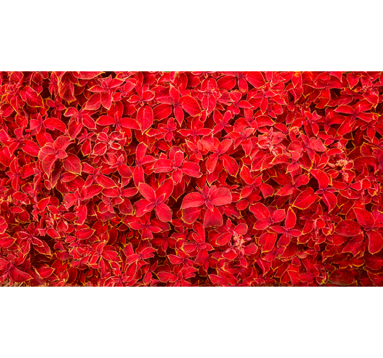 레드 블라인드 꽃잎 패턴 - TenStickers