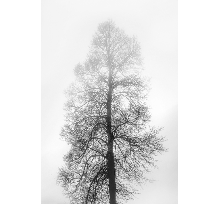 그레이 스케일 트리 블라인드 - TenStickers