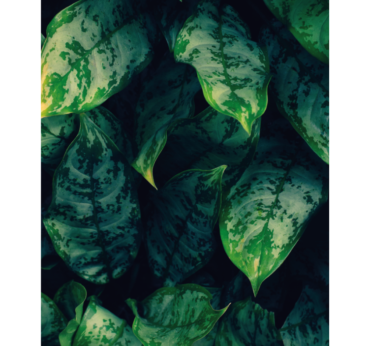 꽃과 식물이 있는 블라인드 생동감 넘치는 초록 잎사귀 - TenStickers