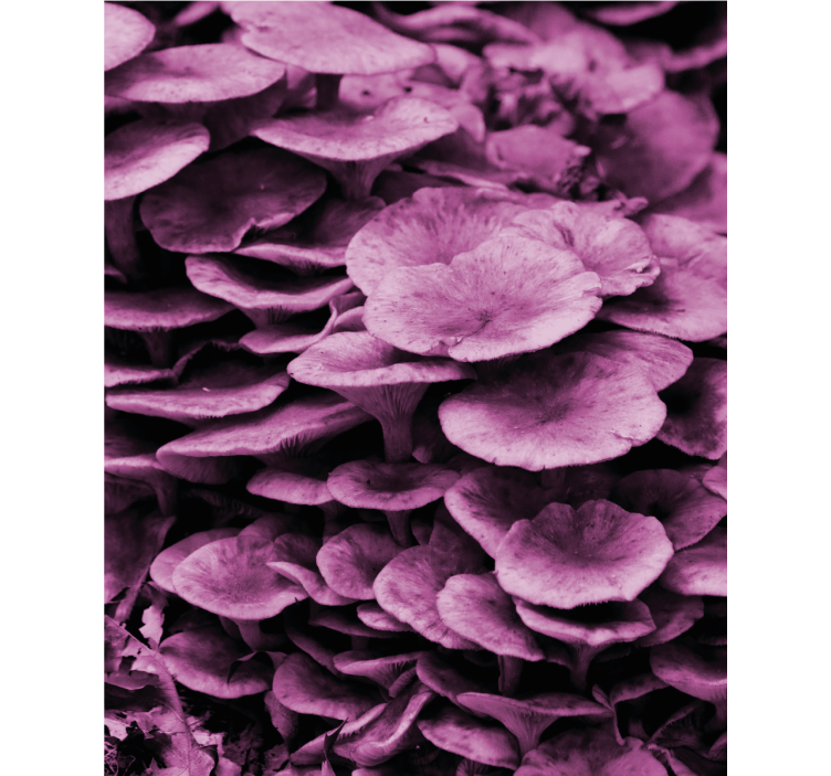 꽃과 식물이 있는 블라인드 생동감 넘치는 플로랄 레이어 - TenStickers