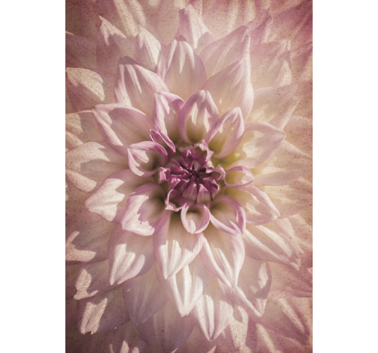 꽃과 식물이 있는 블라인드 섬세한 꽃이 피어나다 - TenStickers