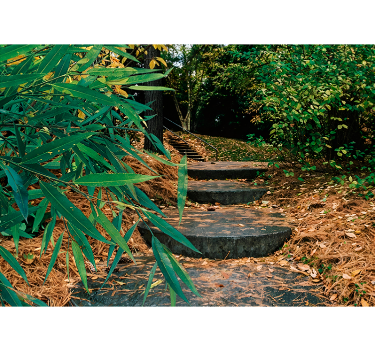 3d 숲과 작은 도로 원래 롤러 블라인드 - TenStickers