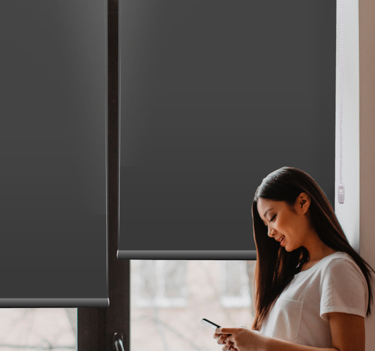 차콜 그레이 일반 색상 우아한 블라인드 - TenStickers