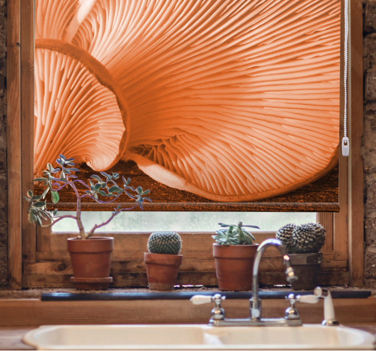 과일 및 채소 블라인드 - 버섯 갓 클로즈업 - TenStickers