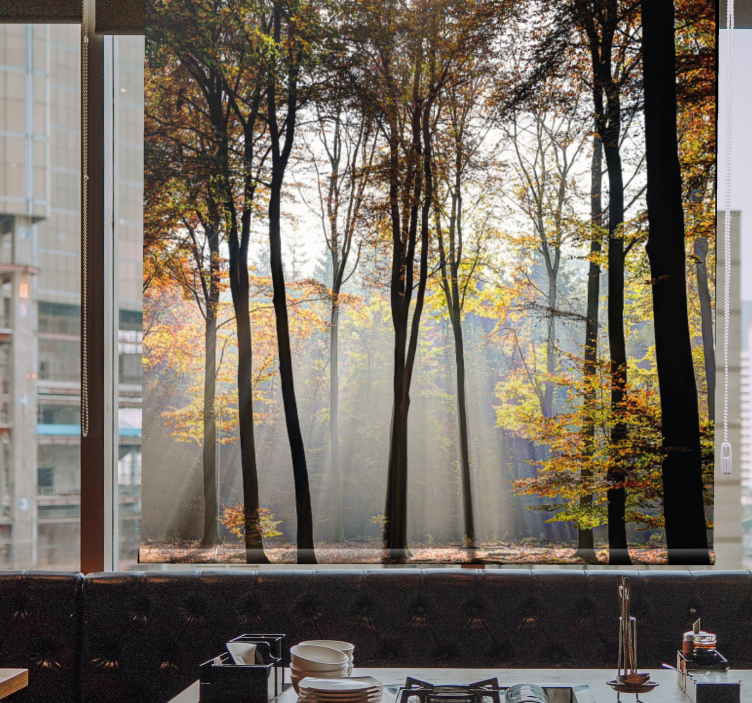 나무가 있는 블라인드 햇살 가득한 숲 풍경 - TenStickers