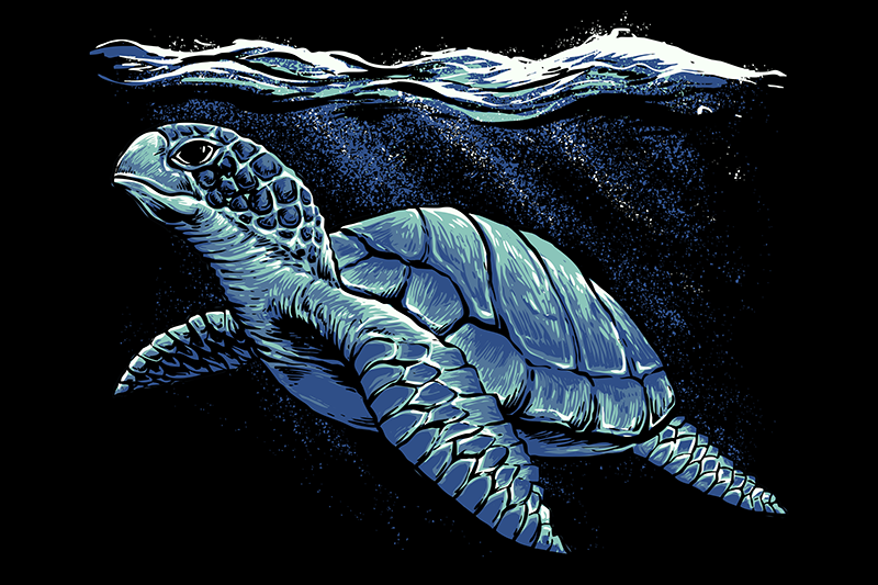 거북이 손 그리기 거북이 플레이스 매트 - TenStickers