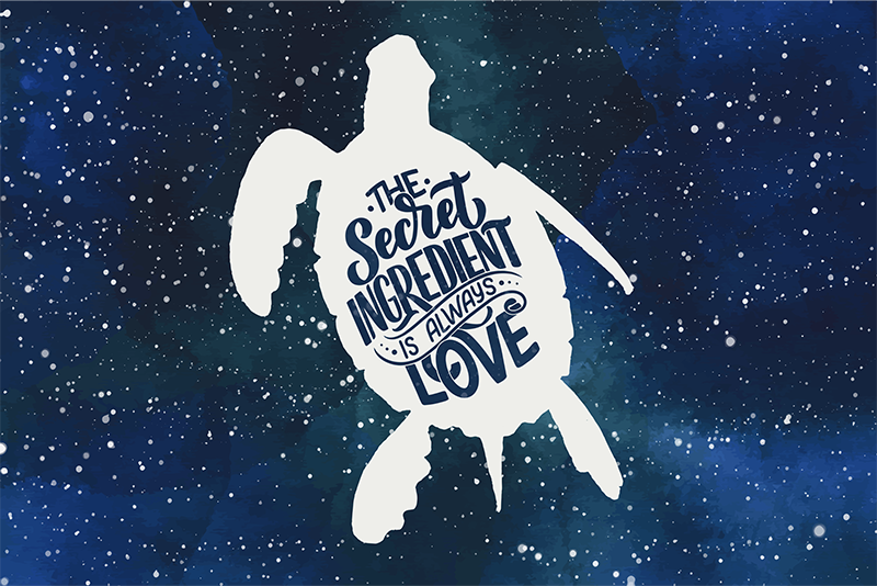 갤럭시 패턴 거북이 플레이스 매트와 거북이 - TenStickers