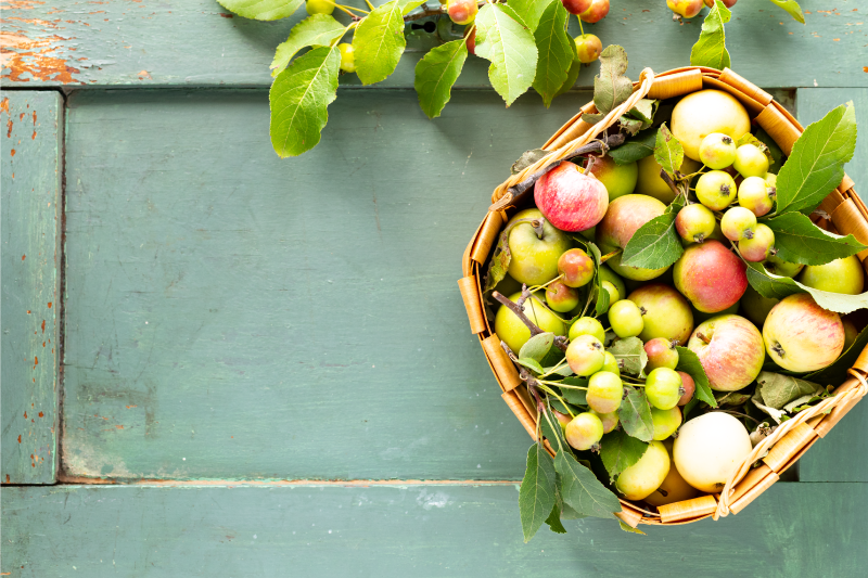 식탁보 수입 과일 바구니 배치 - TenStickers