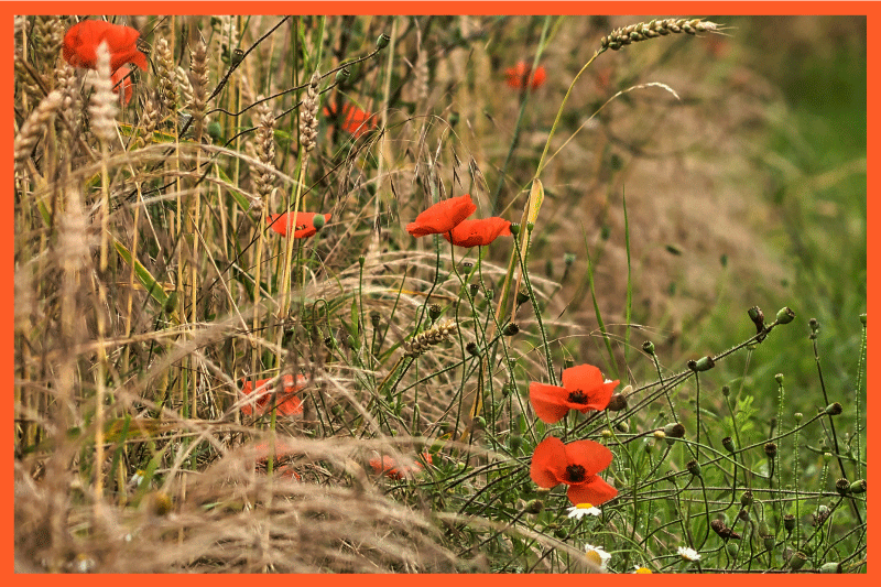 어린 이용 식탁보 웃긴 음식 배열 - TenStickers