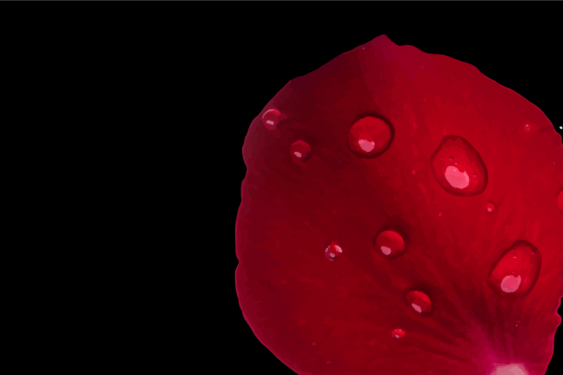 질감이 있는 식탁보 레드 페탈 표면 - TenStickers