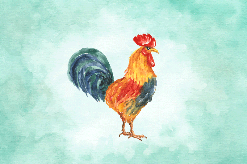 벽난로 카프리초소 다채로운 수탉 일러스트 - TenStickers