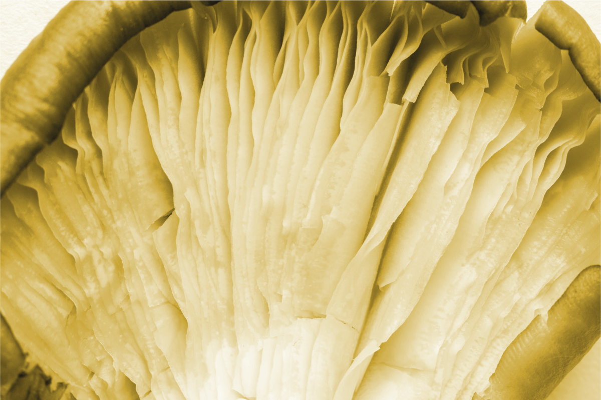 질감이 있는 식탁보 곡선 잎 레이어 - TenStickers