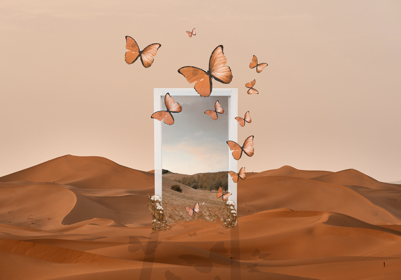 벽난로 카프리초소 나비가 나오는 액자 - TenStickers