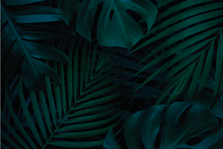 질감이 있는 식탁보 열대 잎 매력 - TenStickers