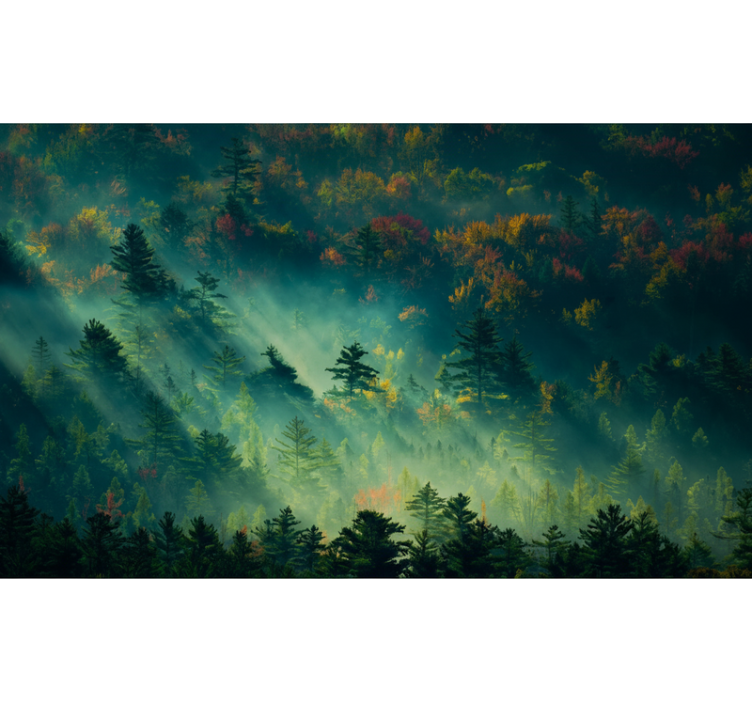 숲 벽 벽화 우울한 숲 - TenStickers