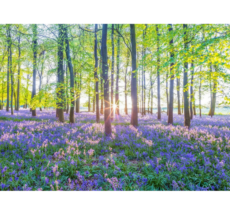 숲 벽 벽화 자연에서 영감을 받은 현대적 디자인 - TenStickers