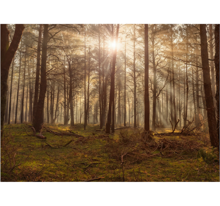 숲 벽 벽화 황금 야생 동물 라운지 - TenStickers