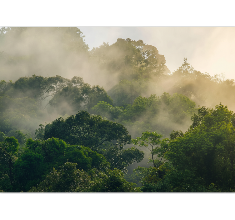 숲 벽 벽화 울창한 정글 캐노피 - TenStickers