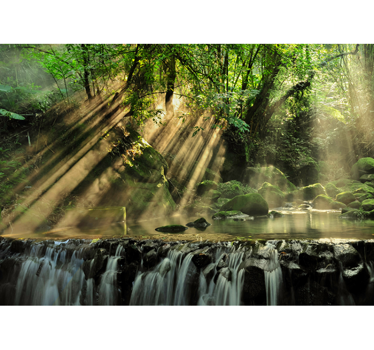 숲 벽 벽화 햇볕이 잘 드는 숲 폭포 - TenStickers