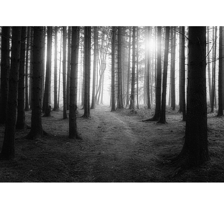 당신을위한 회색 숲 벽 벽화 - TenStickers