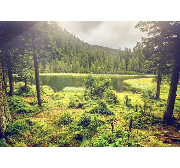 녹색 나무 숲 벽 벽화 - TenStickers