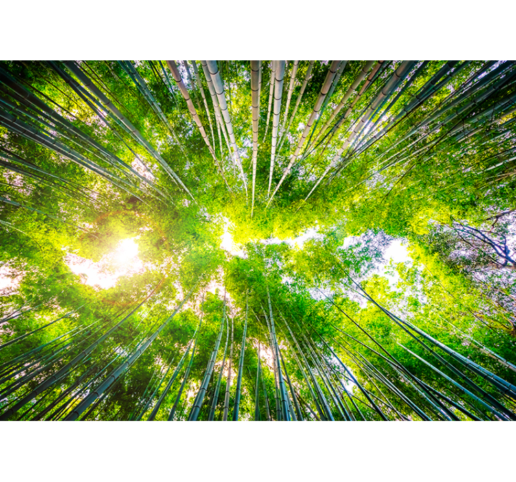 대나무 풍경 벽 벽화 - TenStickers