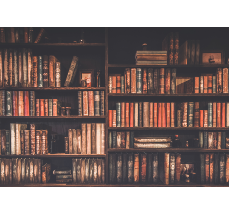 빈티지 책장 벽 벽화 - TenStickers