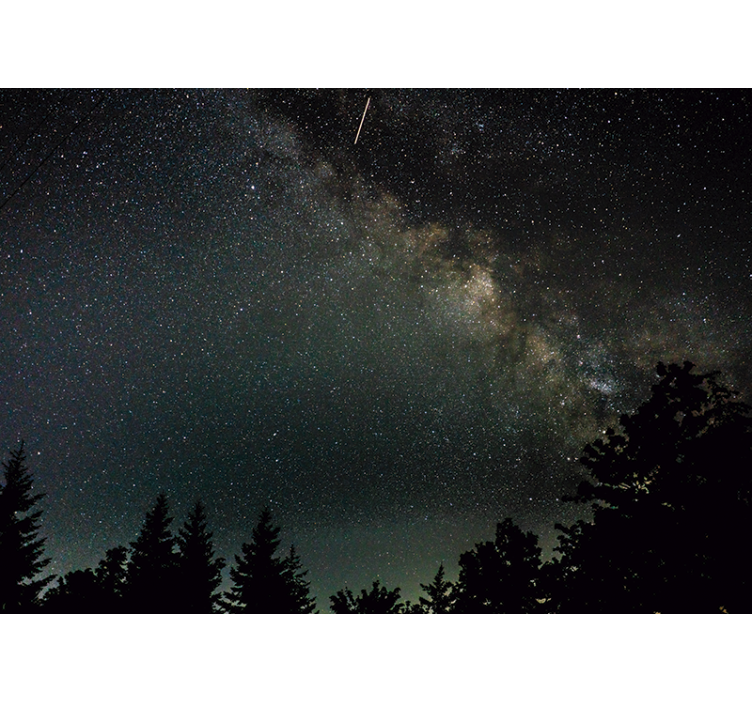 별이 가득한 풍경 하늘 벽 벽화 - TenStickers