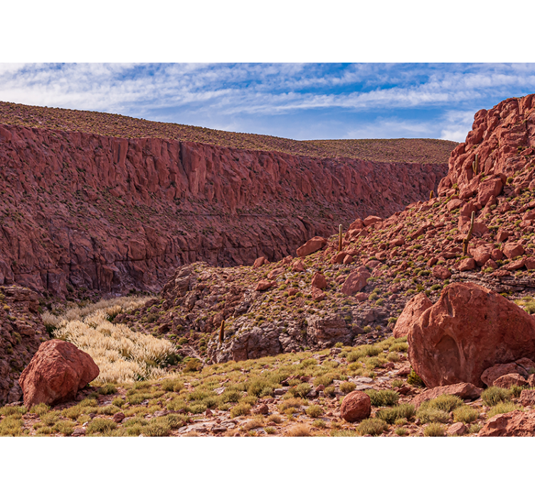 산 벽 벽화 붉은 사막 풍경 - TenStickers