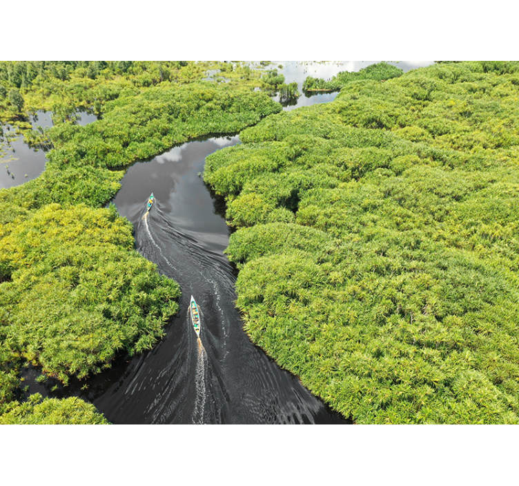 아마존 강 자연 벽 벽화 - TenStickers