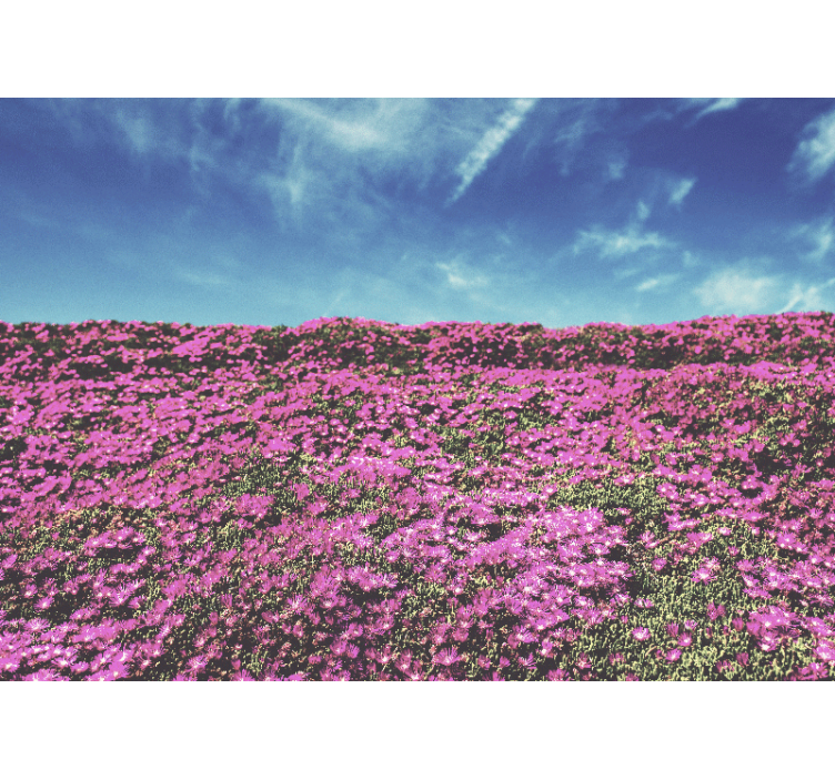 핑크 꽃 들판 벽화 - TenStickers