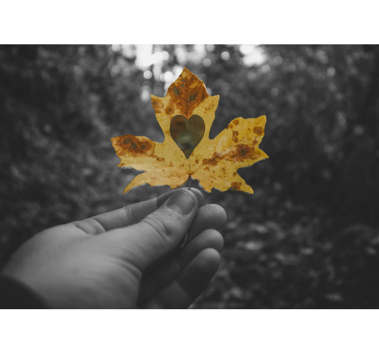 포토 뮤럴 자연 하트 모양의 잎 - TenStickers