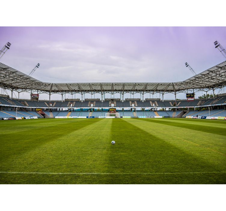 도시와 국가 벽 벽화 축구장 장면 - TenStickers