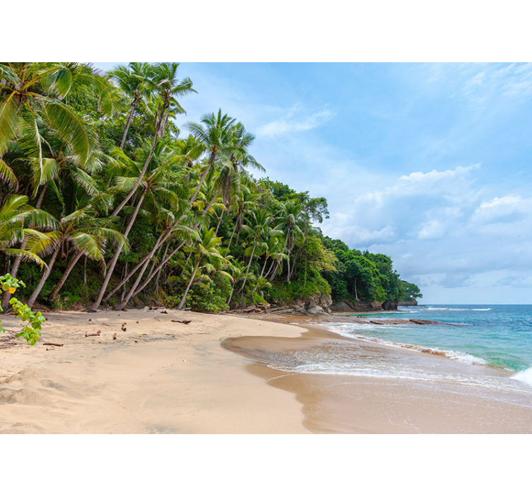 포토 뮤럴 자연 열대 해변 오아시스 - TenStickers