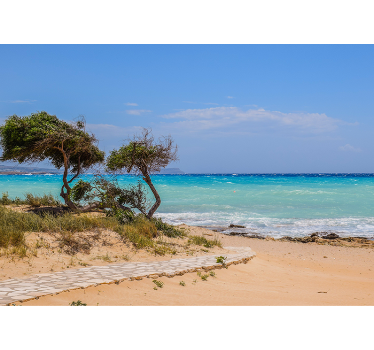 벽화 바다 고요한 풍경 길 - TenStickers