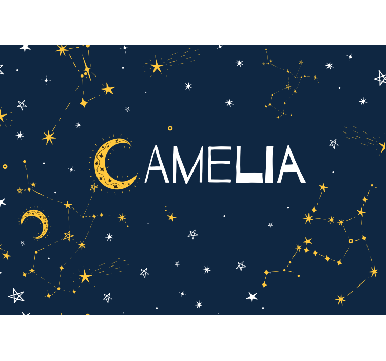 별자리와 달의 십대 벽화 - TenStickers