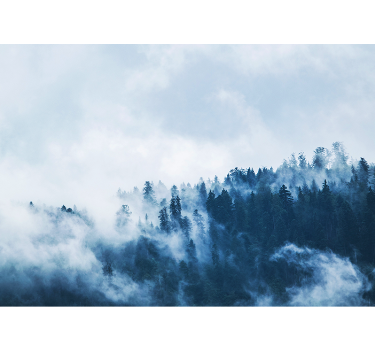 푸른 안개 숲 자연 벽 벽화 - TenStickers