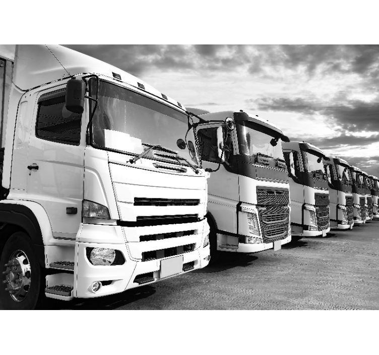 차량 벽 벽화 트럭 라인업 - TenStickers