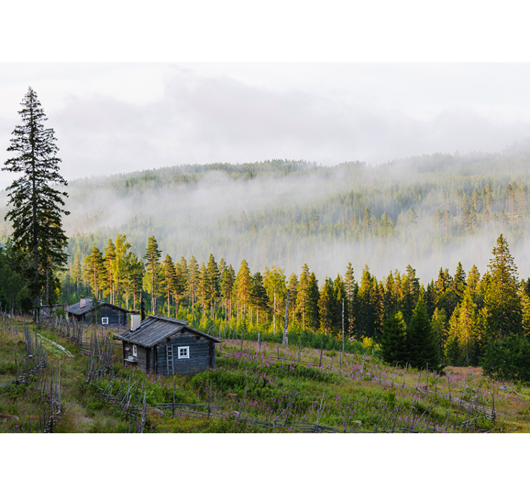 풍경 벽 벽화 안개로 뒤덮인 숲 - TenStickers